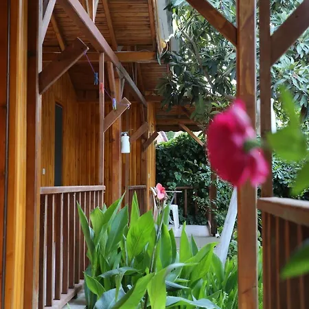 Duran Bungalow Guest house Adrasan